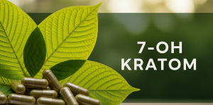 7-OH Kratom Understanding the Powerful Compound Behind Kratom’s Effects